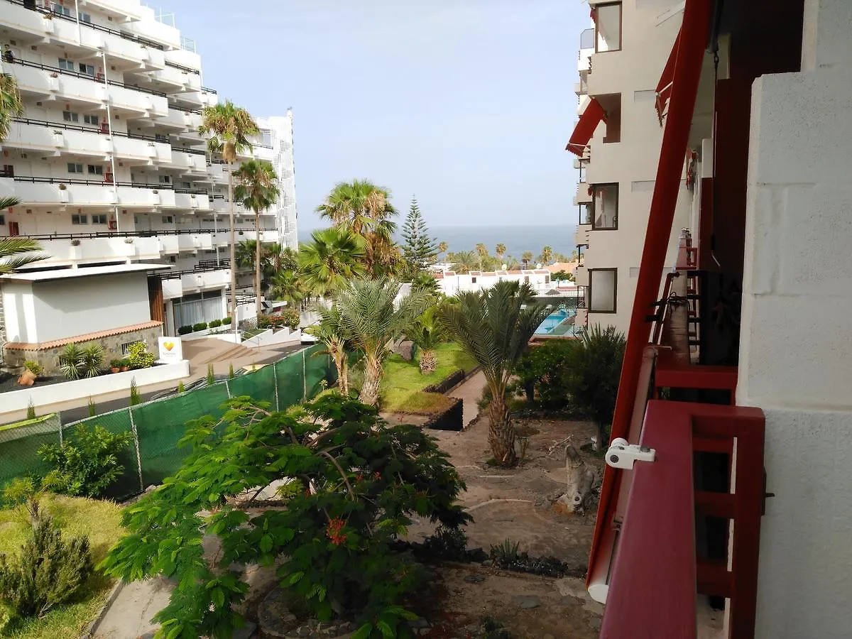 Olympia Rita'S Studio Apartment Playa de las Americas